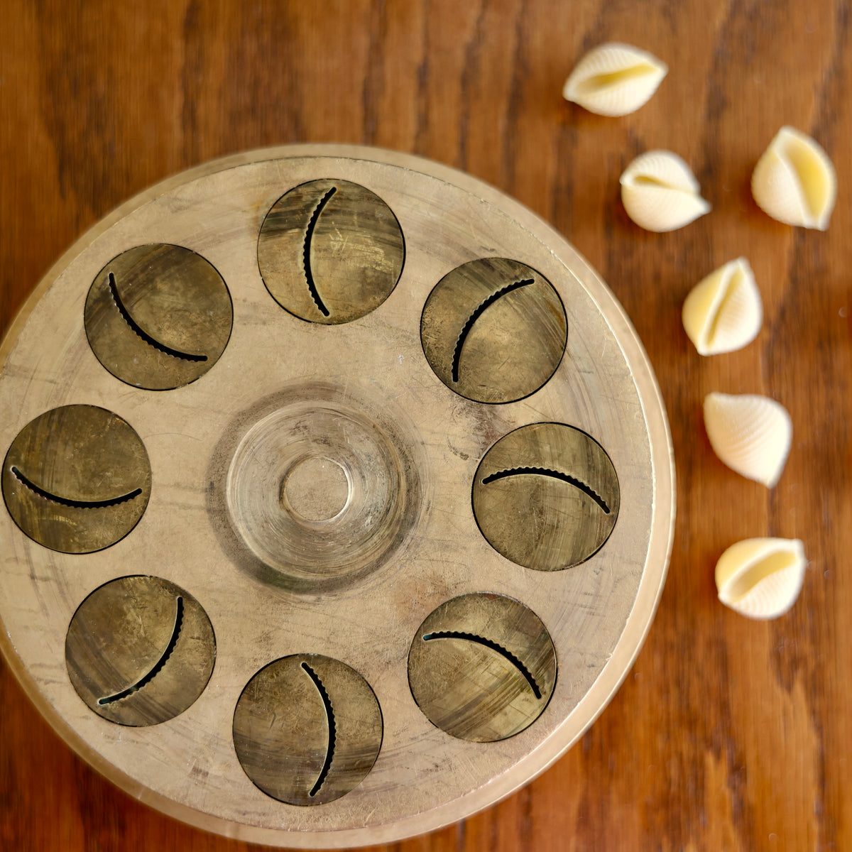 shell die with shells on a wooden surface